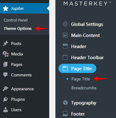 Theme options page title typography - menu