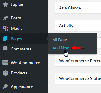 Displaying product posts - add new page